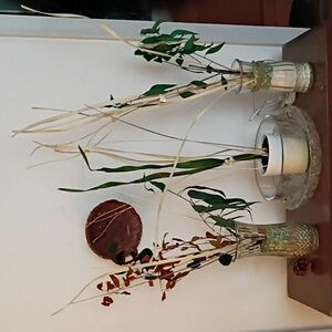 Elegant Natural Vase Arrangement